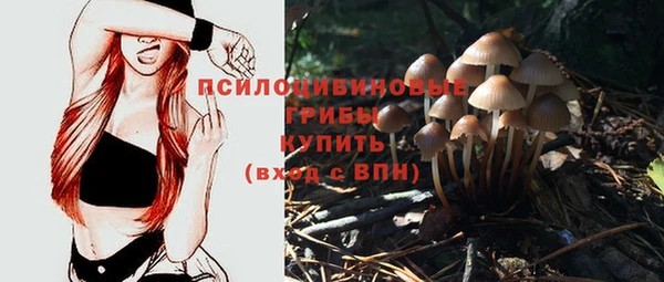 дурь Балахна